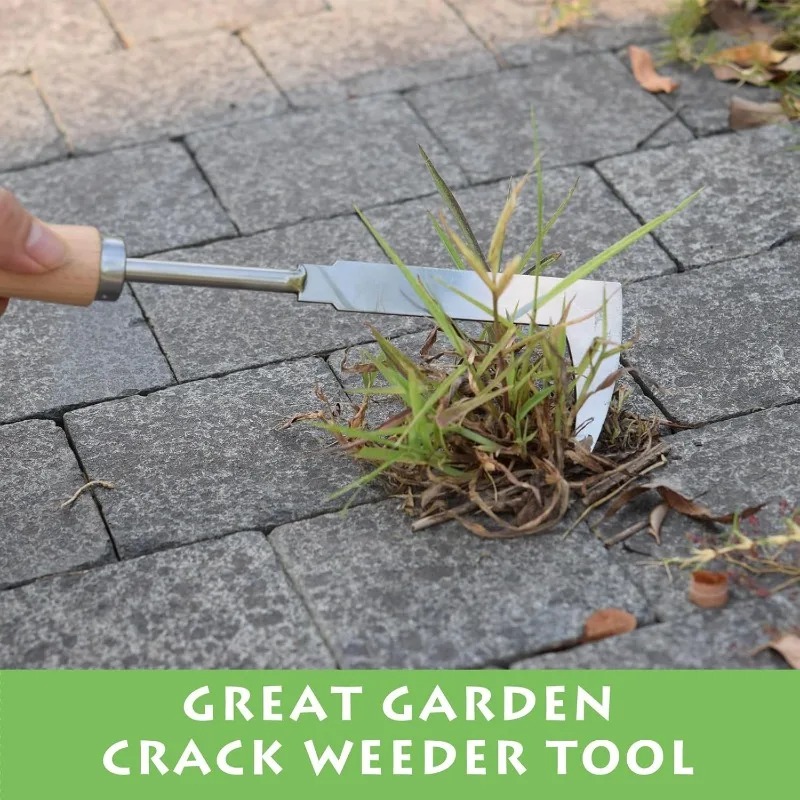 Onkruidverwijderingsgereedscha - Gardening Tools Used For Weeding recensie en prijs