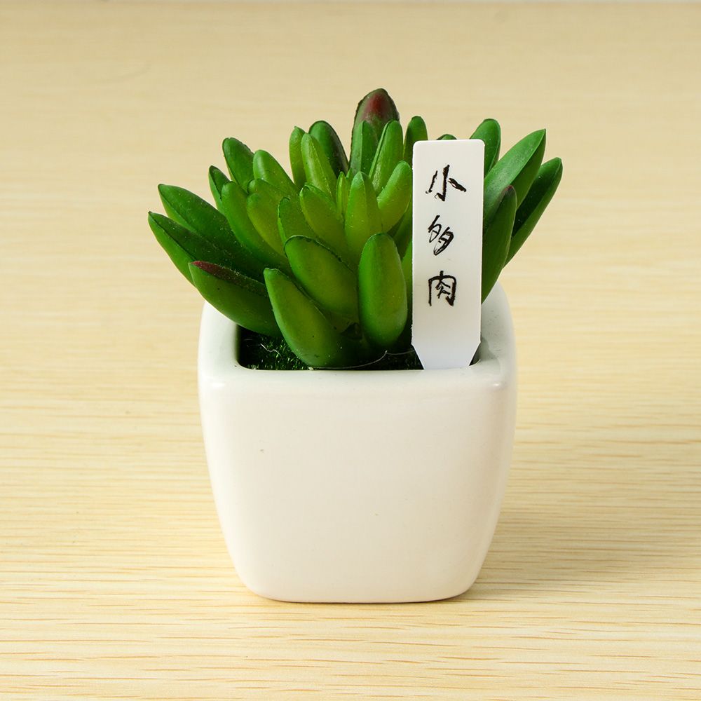 100 Stuks Mini Plastic Plant Z - Gardening Tools Labeled recensie en prijs
