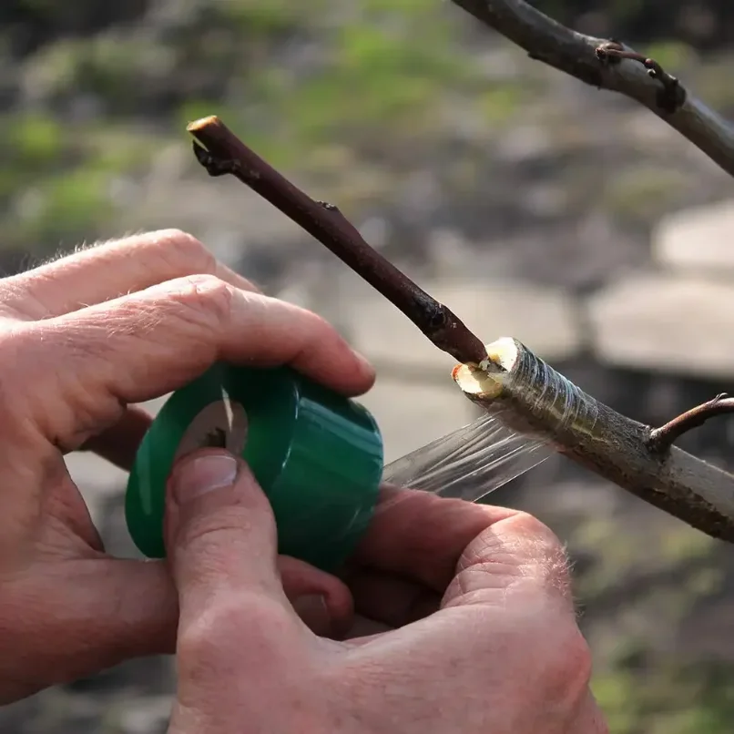 100/600M PE enttape film rekba - Grafting Tape recensie en prijs