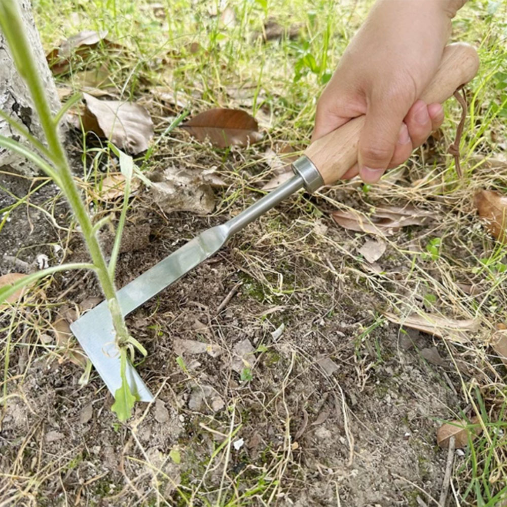 Onkruidverwijderingsgereedscha - Gardening Tools Used For Weeding recensie en prijs
