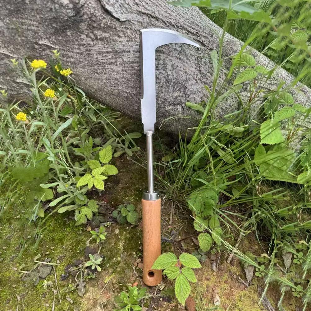 Onkruidverwijderingsgereedscha - Gardening Tools Used For Weeding recensie en prijs