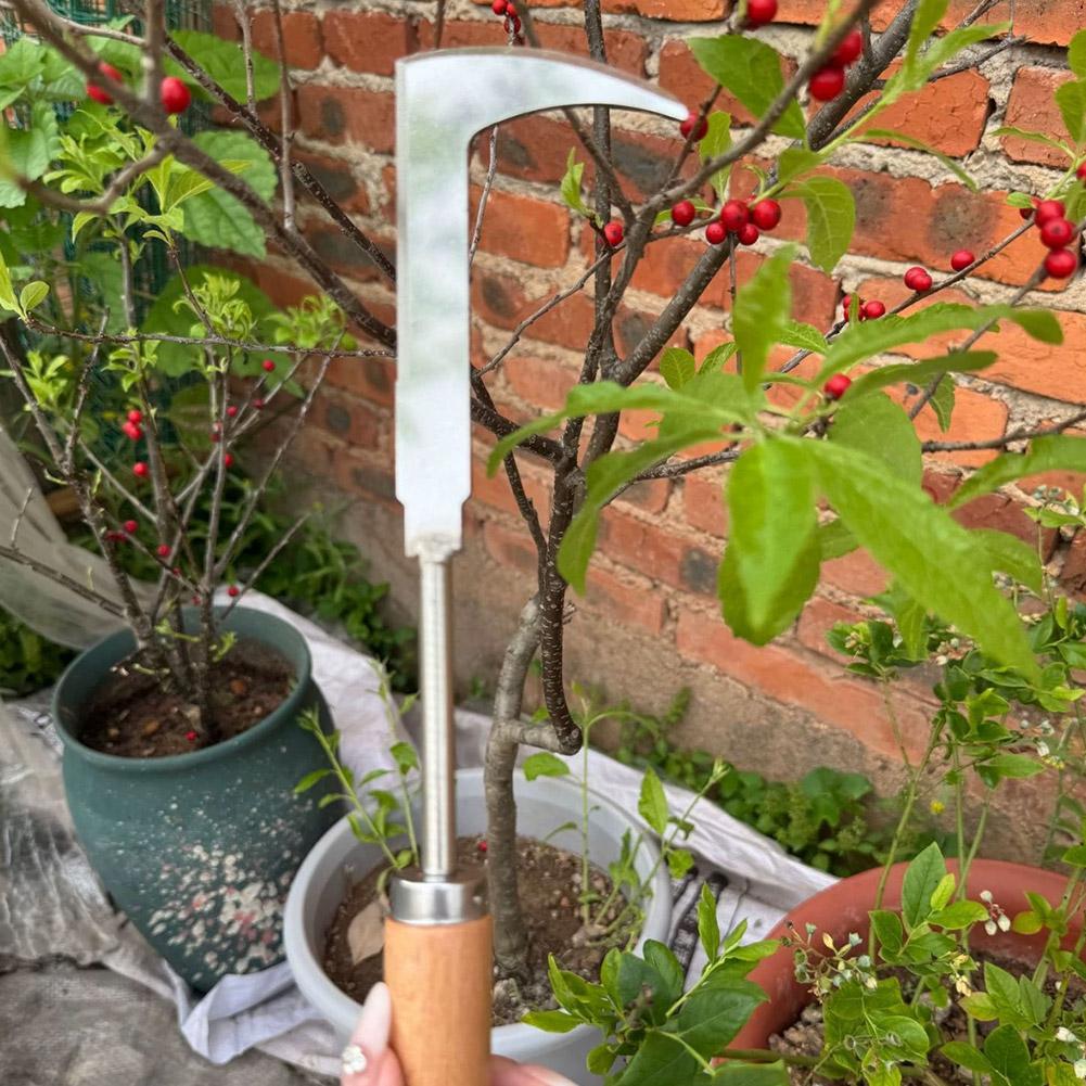 Onkruidverwijderingsgereedscha - Gardening Tools Used For Weeding recensie en prijs