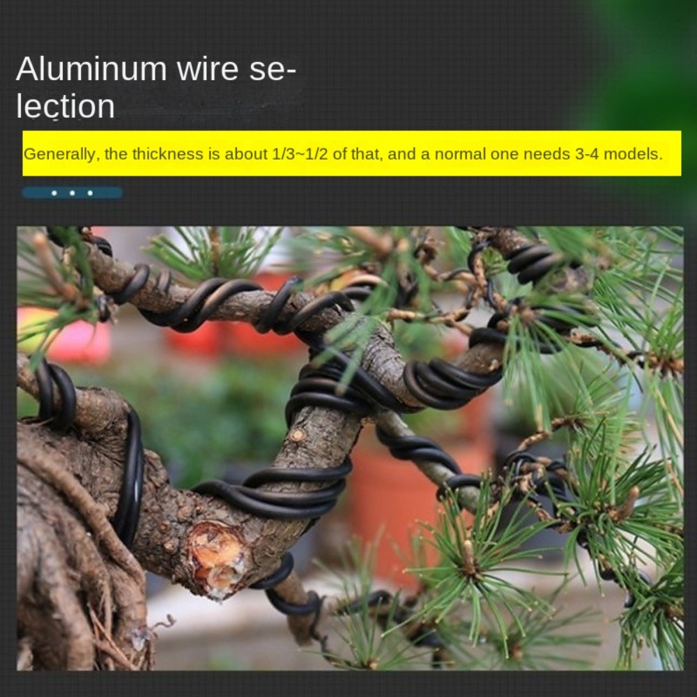 Aluminium Bonsai Draad Tuin Bo - Gardening Tools Equipment recensie en prijs