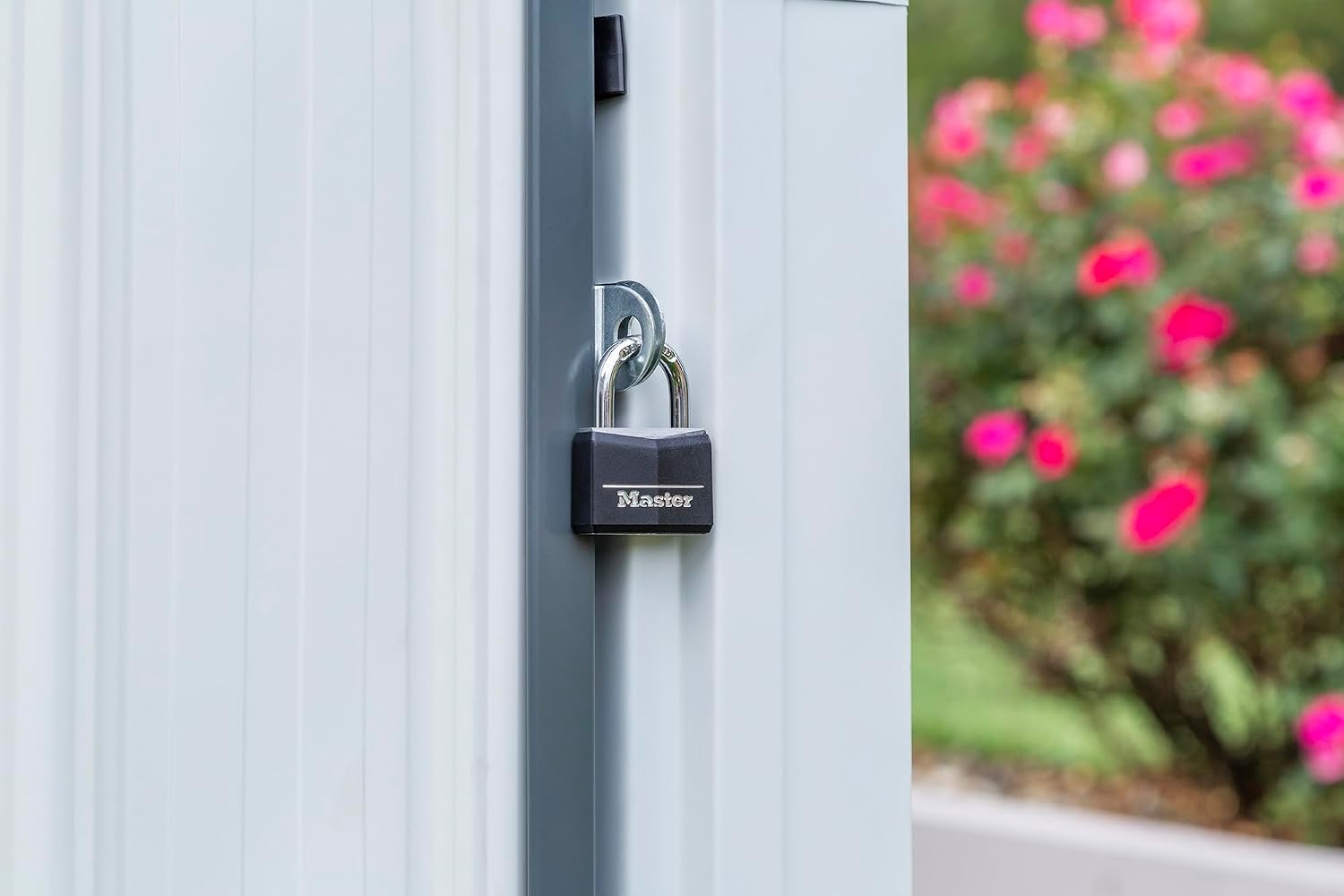 Compacte gegalvaniseerde stale - Gardening Tools In recensie en prijs
