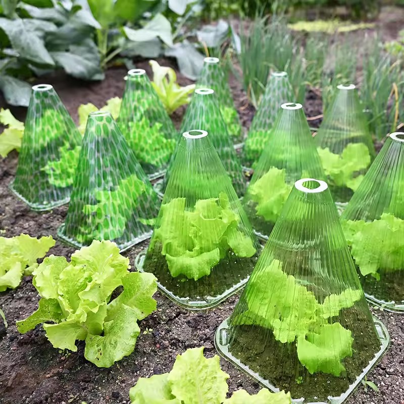 Plantbeschermhoes Accessoires  - Gardening Tools Equipment recensie en prijs