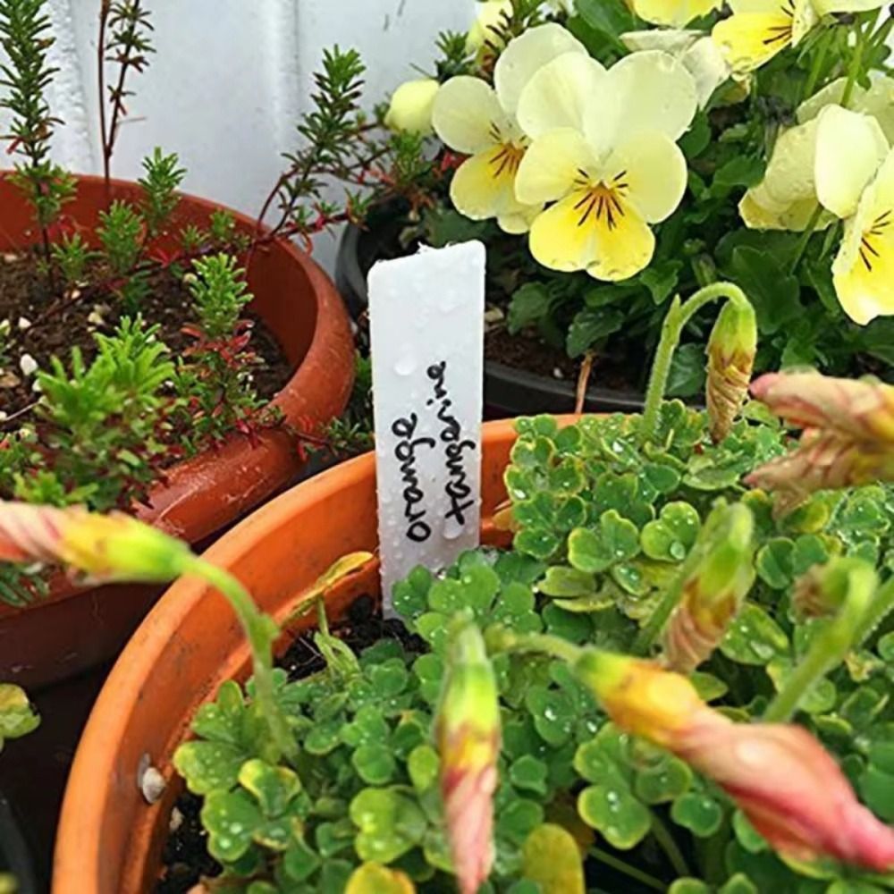 100 stuks plastic plantenlabel - Gardening Tools Labeled recensie en prijs