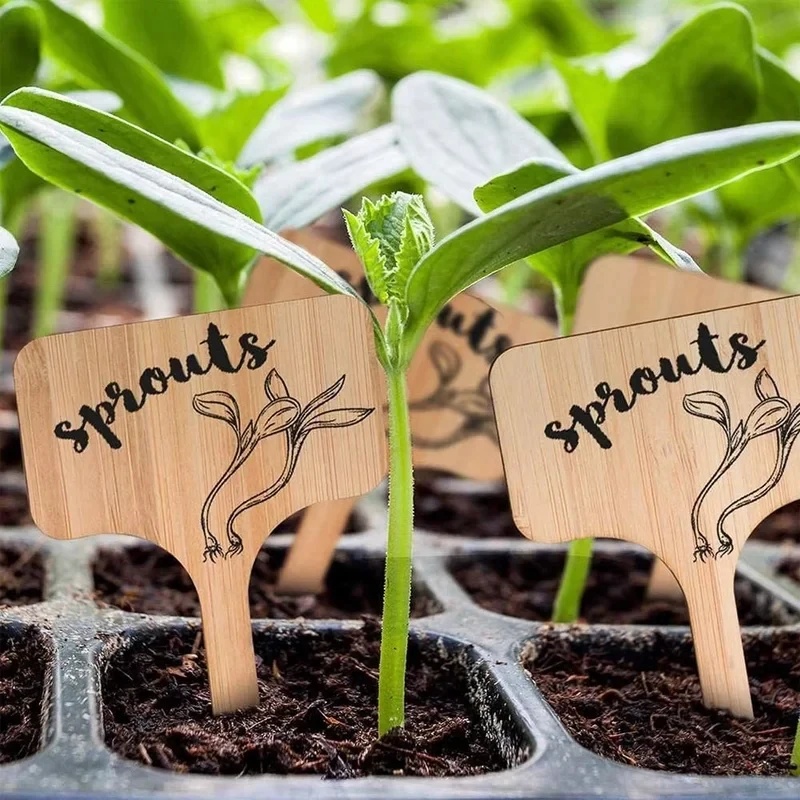 10-60 stuks T-vormige bamboe p - Gardening Tools Labeled recensie en prijs