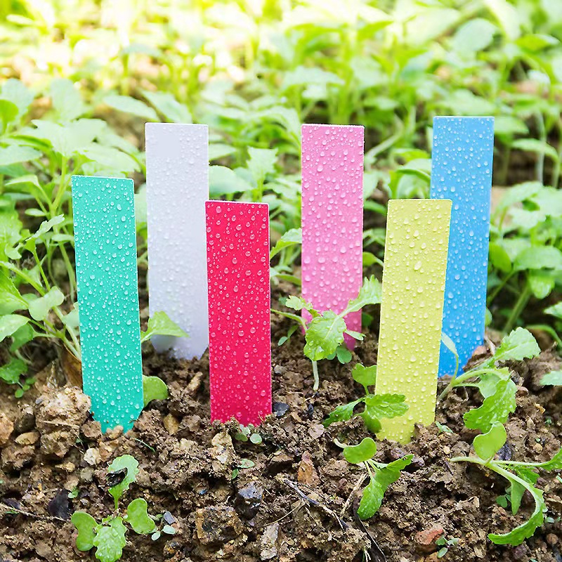 100 Stuks Tuin Plant Etiketten - Gardening Tools Labeled recensie en prijs