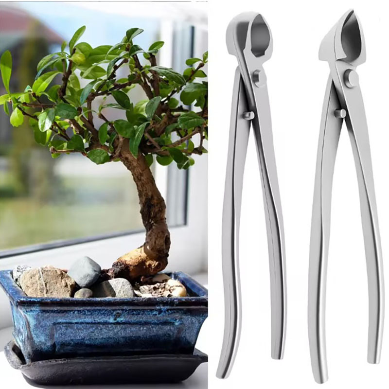 2 Stuks 210 Mm Rvs Bonsai Tool - Bonsai Tool Set recensie en prijs