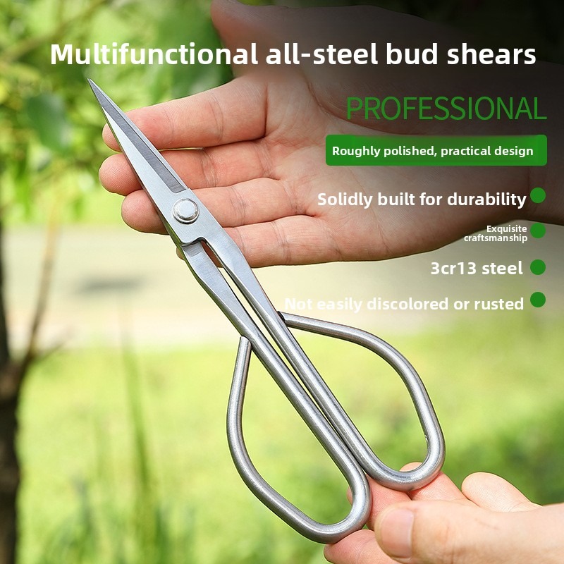 Tender Leaf Schaar Bonsai Gere - Bonsai Tool Set recensie en prijs