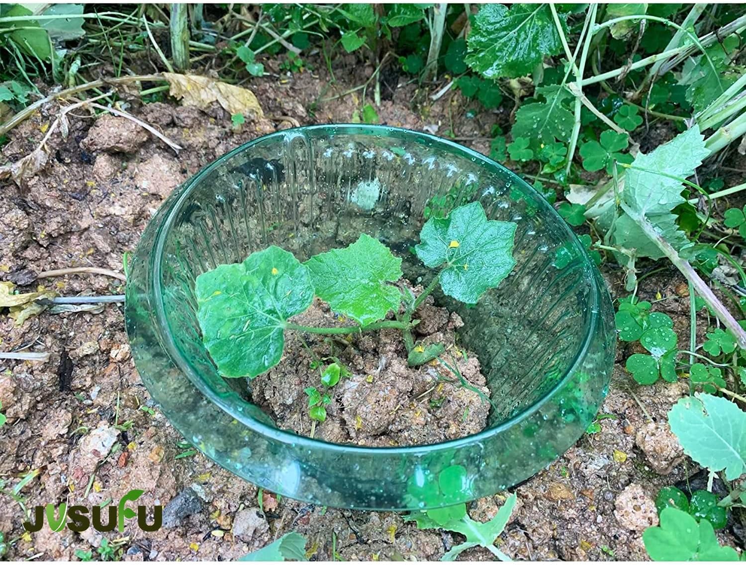 1/30 Stuks Planten Slug Besche - Gardening Tools Equipment recensie en prijs