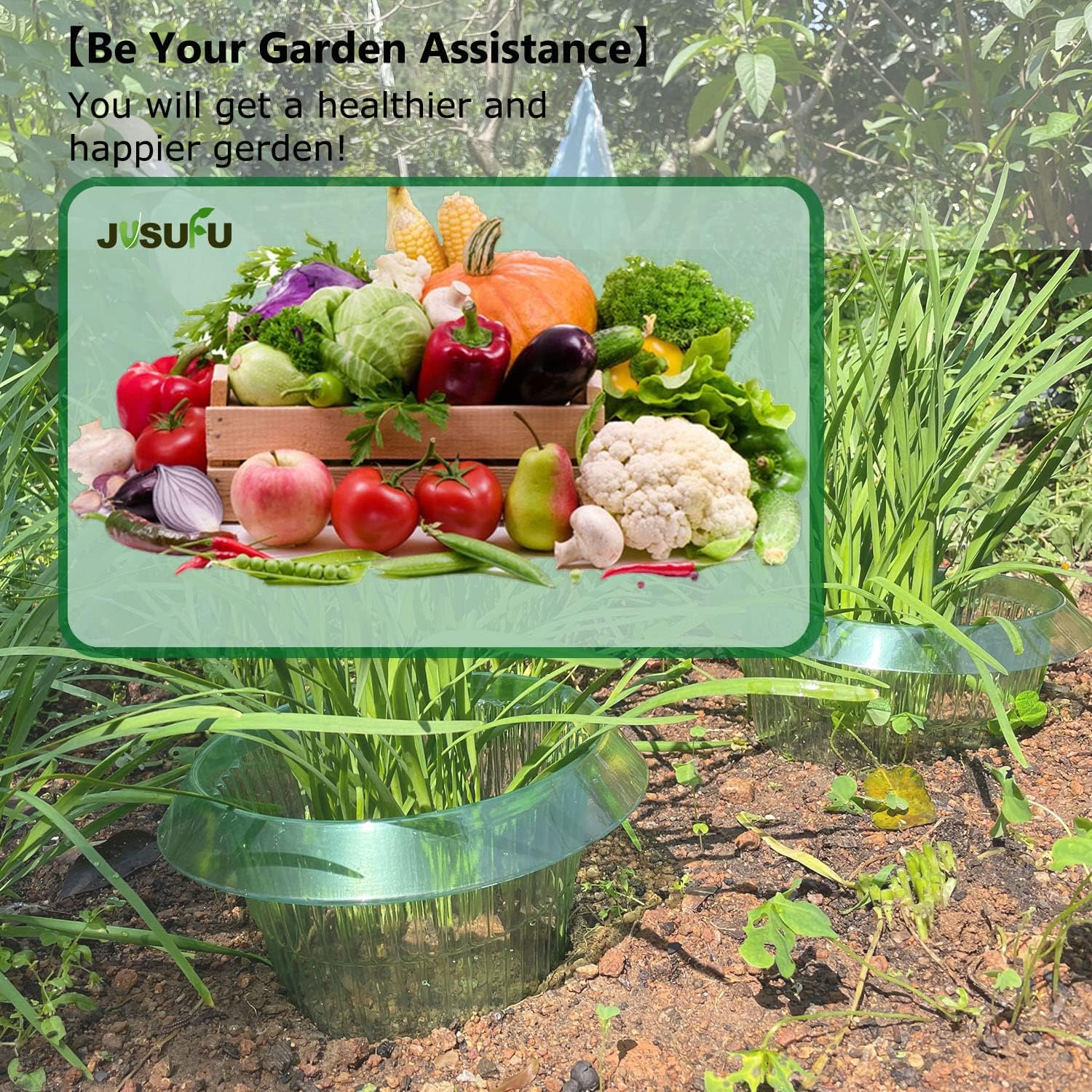 1/30 Stuks Planten Slug Besche - Gardening Tools Equipment recensie en prijs