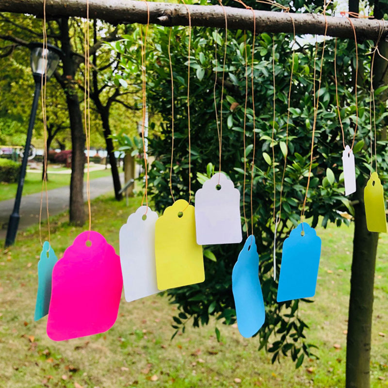 100 Stuks Plantenlabels Met To - Gardening Tools Labeled recensie en prijs