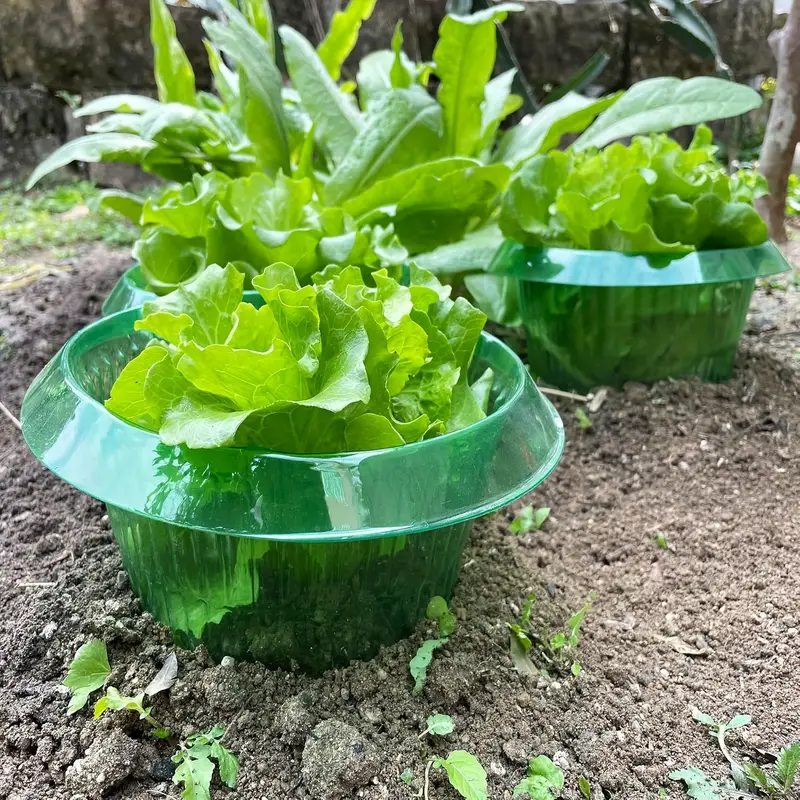 Planten Naaktslak Bescherming  - Gardening Tools Equipment recensie en prijs