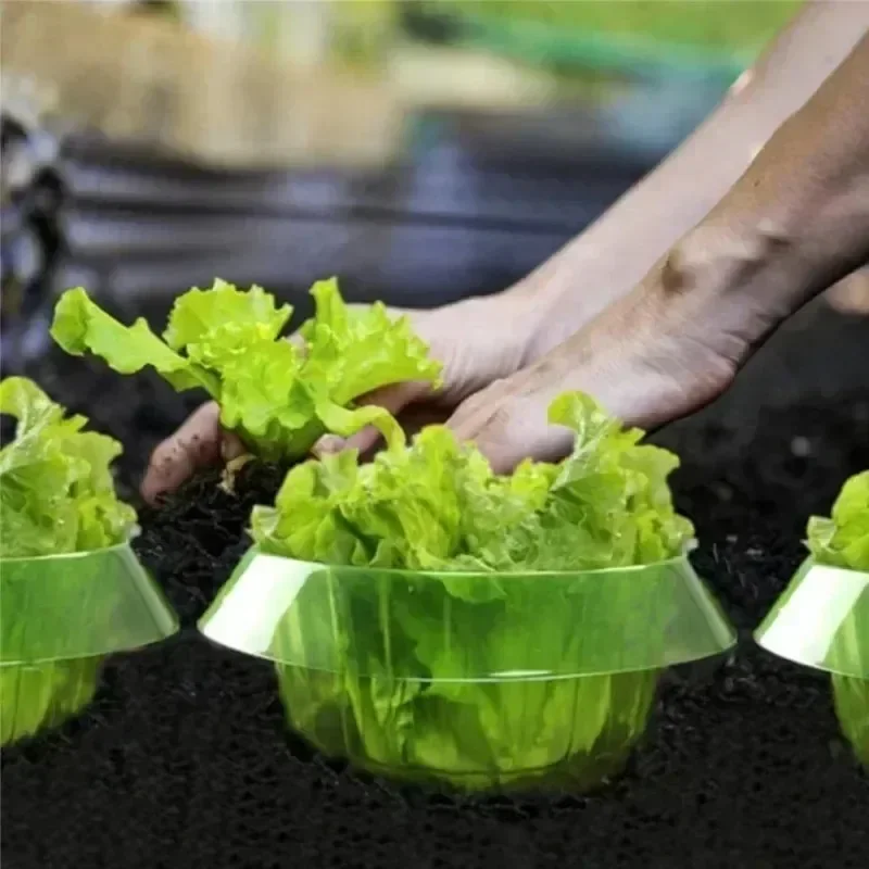 Planten Naaktslak Bescherming  - Gardening Tools Equipment recensie en prijs