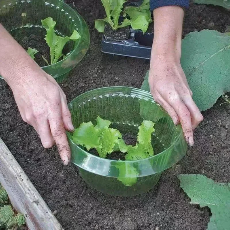Planten Naaktslak Bescherming  - Gardening Tools Equipment recensie en prijs