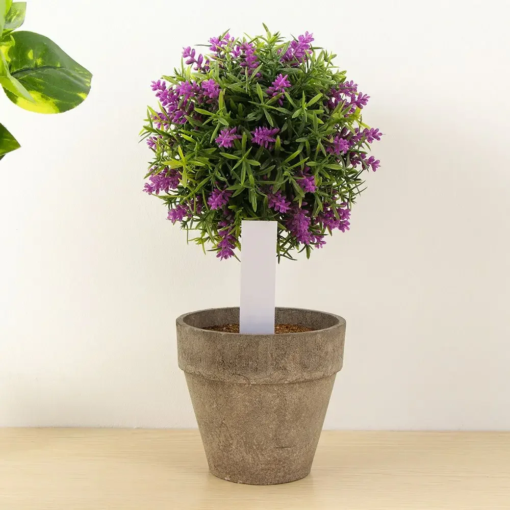 100 Stuks Herbruikbare Classif - Gardening Tools Labeled recensie en prijs
