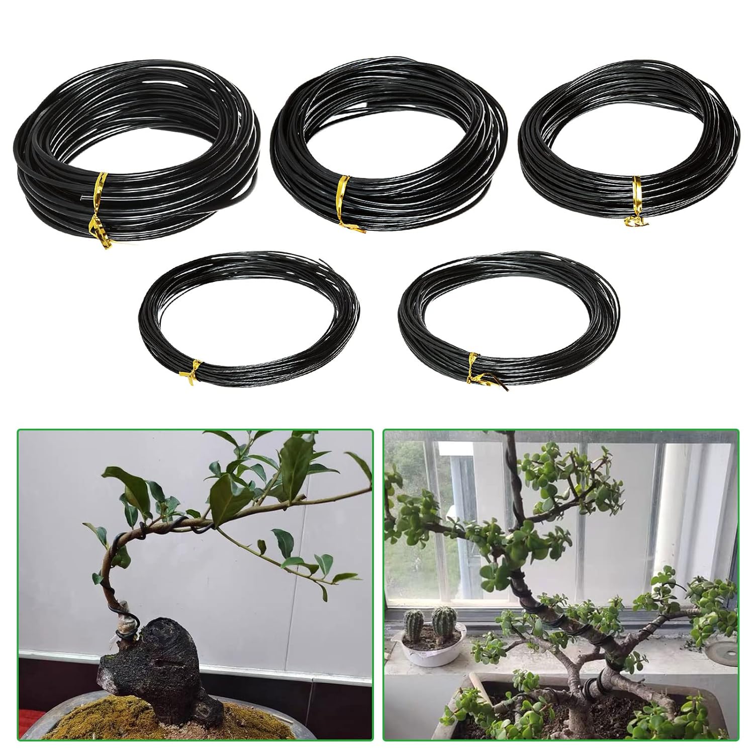 Bonsai Draad Plantenondersteun - Bonsai Tool Set recensie en prijs